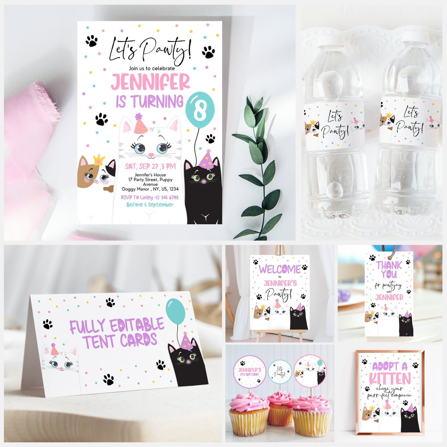 Kitten Birthday Collection KGBP01