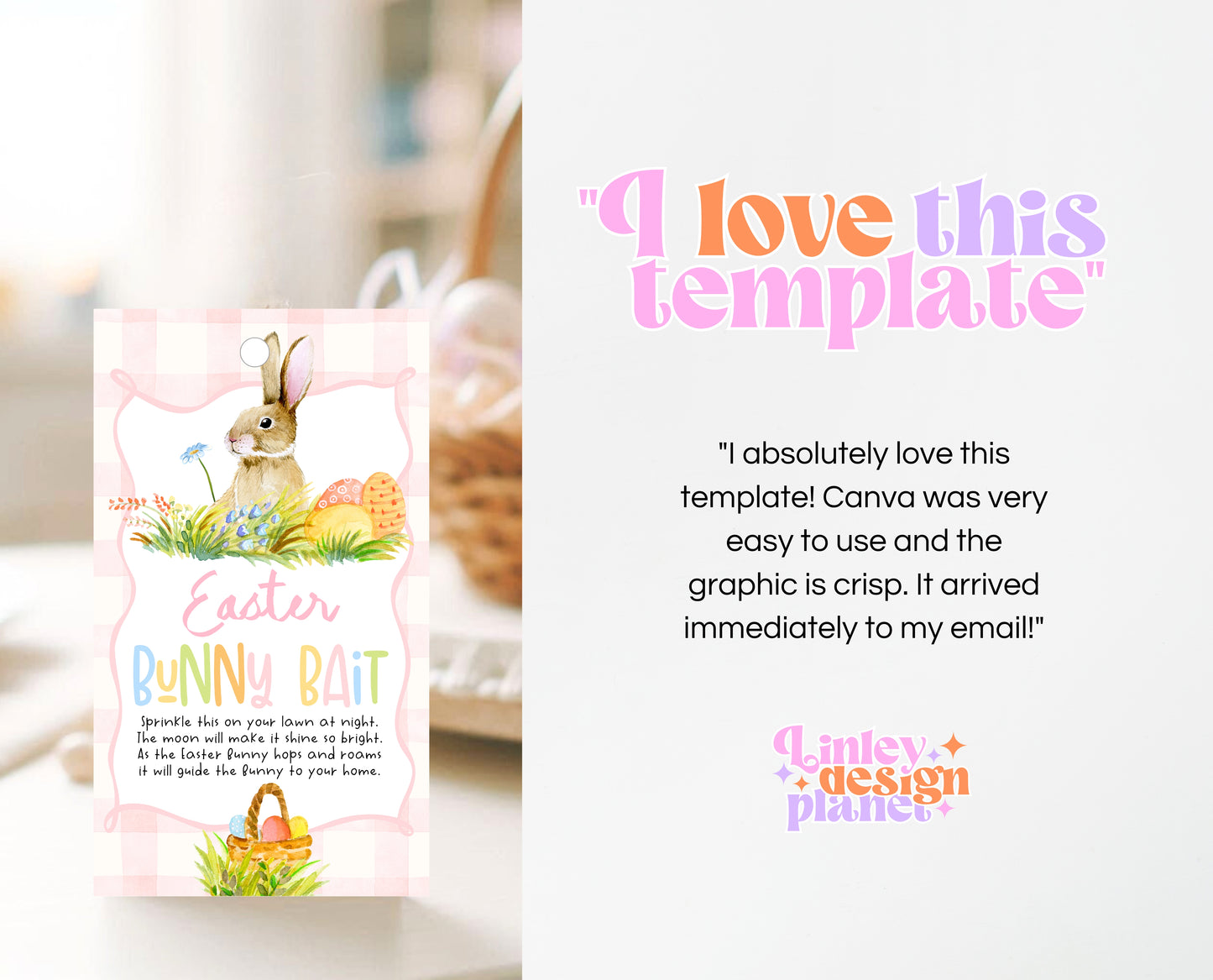 Editable Easter Bunny Bait Tag, Easter Bunny Food Tag, Easter Basket Party Favor Tag, Easter Classroom Gift Tag, Instant Download, EPC13