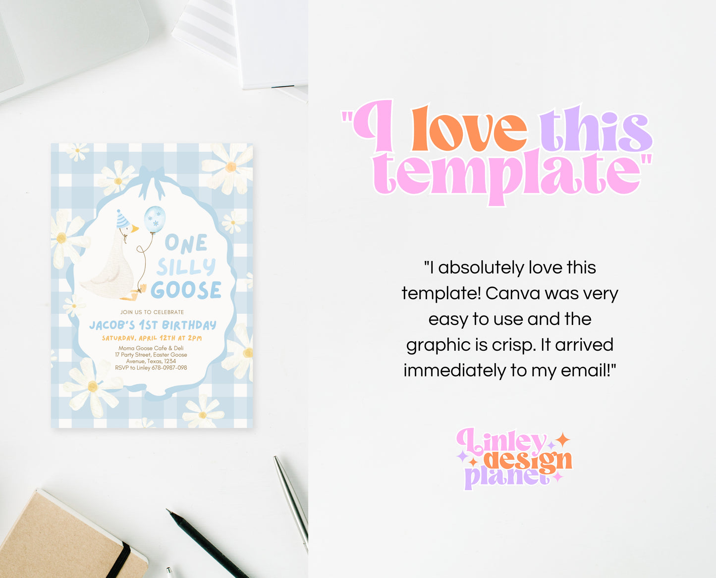 Editable One Silly Goose Birthday Invitation, Boy 1st Birthday Invite, Blue Printable Invite, Goose First Birthday Invite, Template, EPC04