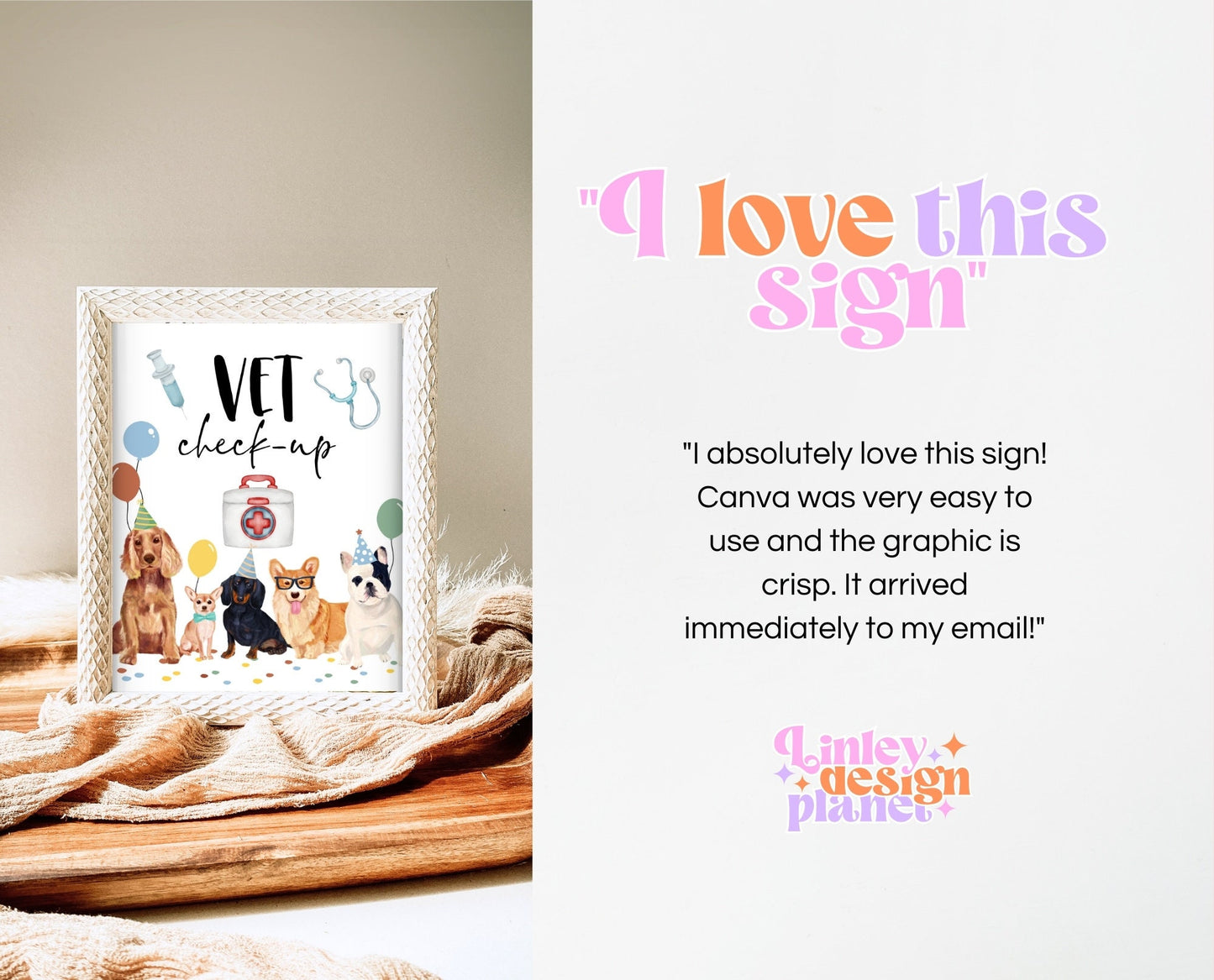 Vet Check Up Sign, Pet Hospital Sign, Puppy Birthday Sign, Boy Dog Birthday Party, Puppy Pet Check-Up Sign, Pawty Theme Decor, BDBP01
