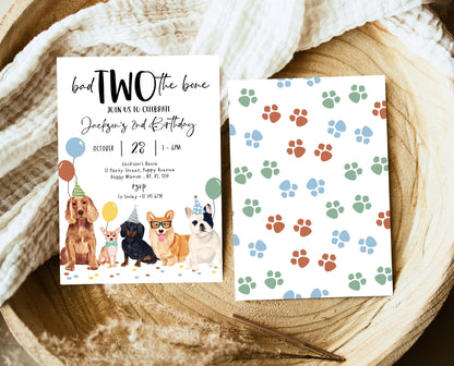 Editable Boy Dog 2nd Birthday Invitation, Puppy Birthday Invitation, Boy Dog Birthday, Puppy 2nd Birthday, Animal Vet Birthday Party, BDBP01